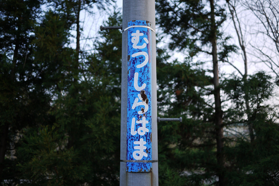 mutsushirahama21.jpg